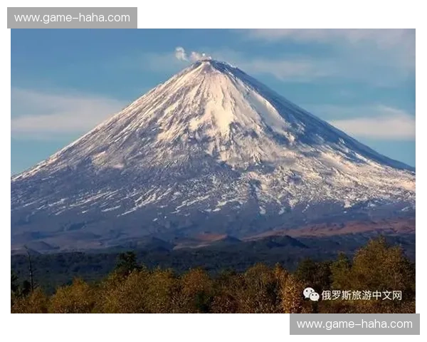 美洲虎vs平庸：一场关于速度、野性与灵魂的终极对决